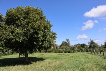 Ancienne Fermette avec dépendance