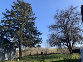 Charmante maison de campagne à conforter.