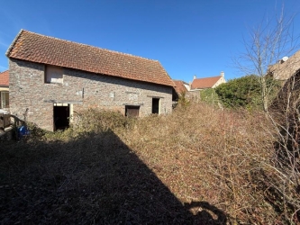 Garage avec jardin