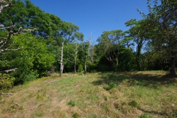 LONGERE A RESTAURER DANS LE PARC DU MORVAN