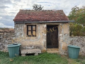 Maison de plain pied dans un jardin clos de murs