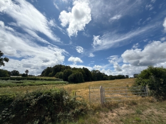 Maison de plain pied sur plus de 4500 m² de terrain
