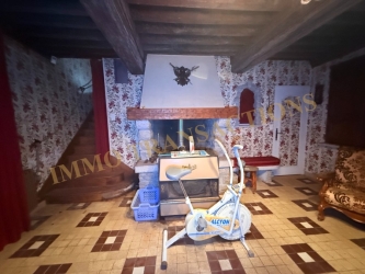 Maison de village avec garage et jardin