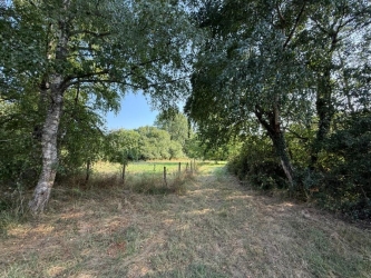 Maison indépendante sur terrain de plus de 7400 m²