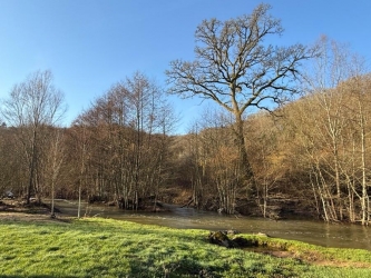 Moulin rénové – 283 m² habitables – Plus de 2 hectares