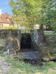 Moulin rénové – 283 m² habitables – Plus de 2 hectares