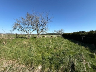 PARC DU MORVAN ANCIENNE MAISON A RENOVER DE 60 m²