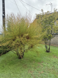 Pavillon de plain-pied sur 1774 m² de jardin clos