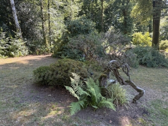 Propriété isolée sur plus de 2Ha