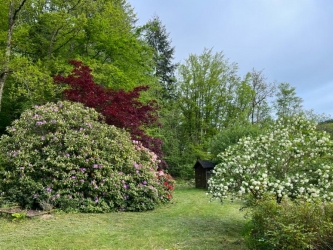 Propriété sur jardin clos et arboré en pleine nature