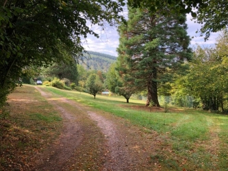 Propriété sur jardin clos et arboré en pleine nature