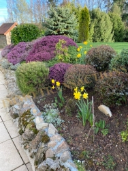 Propriété sur ses 3397 m² de jardin clos paysagé