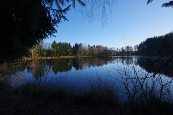 SUPERBE ETANG SUR PARCELLE DE 3 ha 47 a