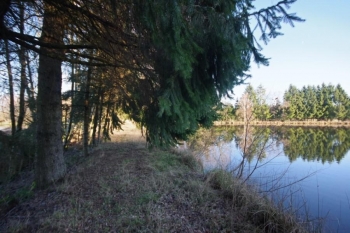 SUPERBE ETANG SUR PARCELLE DE 3 ha 47 a
