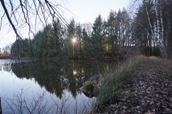 SUPERBE ETANG SUR PARCELLE DE 3 ha 47 a