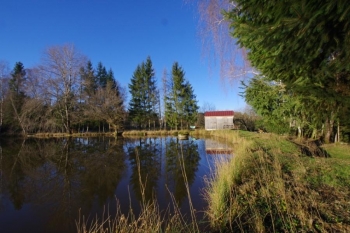 SUPERBE ETANG SUR PARCELLE DE 3 ha 47 a